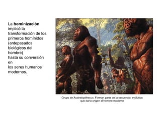 La hominización
implicó la
transformación de los
primeros homínidos
(antepasados
biológicos del
hombre)
hasta su conversión
en
los seres humanos
modernos.
Grupo de Australopithecus. Forman parte de la secuencia evolutiva
que daría origen al hombre moderno
 