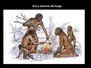 Uso y dominio del fuego
 