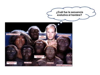 ¿Cuál fue la secuencia
evolutiva el hombre?
 