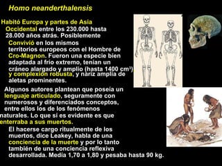 Homo neanderthalensis
Habitó Europa y partes de Asia
Occidental entre los 230.000 hasta
28.000 años atrás. Posiblemente
Convivió en los mismos
territorios europeos con el Hombre de
Cro-Magnon. Fueron una especie bien
adaptada al frío extremo, tenían un
cráneo alargado y amplio (hasta 1400 cm3
),
y complexión robusta, y nariz amplia de
aletas prominentes.
Algunos autores plantean que poseía un
lenguaje articulado, seguramente con
numerosos y diferenciados conceptos,
entre ellos los de los fenómenos
naturales. Lo que sí es evidente es que
enterraba a sus muertos.
El hacerse cargo ritualmente de los
muertos, dice Leakey, habla de una
conciencia de la muerte y por lo tanto
también de una conciencia reflexiva
desarrollada. Medía 1,70 a 1,80 y pesaba hasta 90 kg.
 