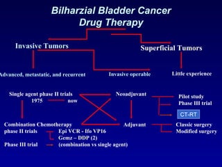 Bilharzial Bladder Cancer Drug Therapy Invasive Tumors Superficial Tumors Advanced, metastatic, and recurrent Invasive operable Single agent phase II trials 1975   now Neoadjuvant Pilot study Phase III trial Combination Chemotherapy phase II trials   Epi VCR - Ifo VP16   Gemz – DDP (2) Phase III trial  (combination vs single agent) Adjuvant Classic surgery Modified surgery Little experience CT-RT 