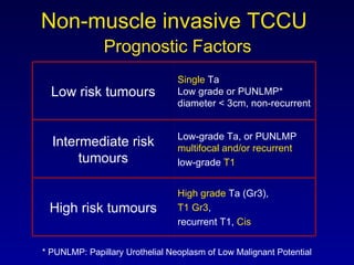 Non-muscle invasive TCCU    Prognostic Factors  * PUNLMP: Papillary Urothelial Neoplasm of Low Malignant Potential Low risk tumours Single  Ta Low grade or PUNLMP*  diameter  <  3cm, non-recurrent Intermediate risk tumours Low-grade Ta, or PUNLMP  multifocal and/or recurrent low-grade  T1 High risk tumours High grade  Ta (Gr3),  T1 Gr3 ,  recurrent T1,  Cis 