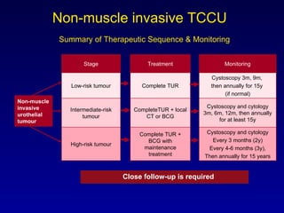 Non-muscle invasive TCCU     Summary of Therapeutic Sequence & Monitoring Close follow-up is required Non-muscle invasive  urothelial  tumour Stage Treatment Monitoring Low-risk tumour Complete TUR Cystoscopy 3m, 9m,  then annually for 15y  (if normal) Intermediate-risk tumour CompleteTUR + local CT or BCG Cystoscopy and cytology 3m, 6m, 12m, then annually for at least 15y High-risk tumour Complete TUR + BCG with maintenance treatment Cystoscopy and cytology Every 3 months (2y) Every 4-6 months (3y), Then annually for 15 years 