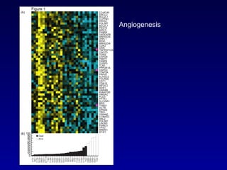 Angiogenesis 