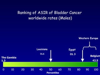 Ranking of ASIR of Bladder Cancer  worldwide rates (Males) 0 10 20 30 40 50 60 70 80 90 100 The Gambia 1.3 Belgium 42.5 Louisiana 16.6 Egypt  26.3 Western Europe Percentiles 