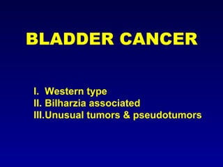 BLADDER CANCER Western type Bilharzia associated Unusual tumors & pseudotumors 
