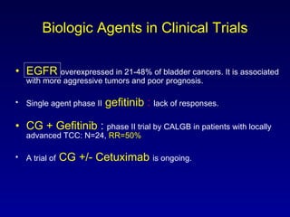 Biologic Agents in Clinical Trials EGFR   overexpressed in 21-48% of bladder cancers. It is associated with more aggressive tumors and poor prognosis. Single agent phase II   gefitinib  :  lack of responses. CG + Gefitinib  :  phase II trial by CALGB in patients with locally advanced TCC: N=24,  RR=50% A trial of   CG +/- Cetuximab   is ongoing. 