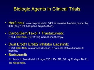 Biologic Agents in Clinical Trials Her2-neu   is overexpressed in 54% of invasive bladder cancer by IHC (only 13% had gene amplification). Carbo/Gem/Taxol + Trastuzumab:   N=44,  RR=73%  (CR=11%) in front-line therapy. Dual ErbB1 ErbB2 inhibitor Lapatinib:   N=30,  RR=10%  in relapsed disease, 3 patients stable disease>6 months. Bortezomib in phase II clinical trial 1.3 mg/m2 D1, D4, D8, D11 q 21 days, N=11,  no responses. 