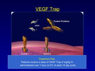 VEGF Trap Treatment Plan  Patients receive a dose of VEGF Trap 4 mg/kg IV administered over 1 hour on D1 of each 14 day cycle 