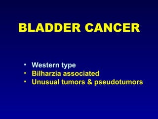 BLADDER CANCER Western type Bilharzia associated Unusual tumors & pseudotumors 