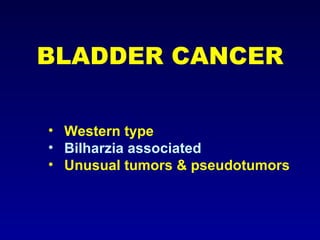 BLADDER CANCER Western type Bilharzia associated Unusual tumors & pseudotumors 