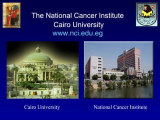 The National Cancer Institute   Cairo University www.nci.edu.eg Cairo University National Cancer Institute 