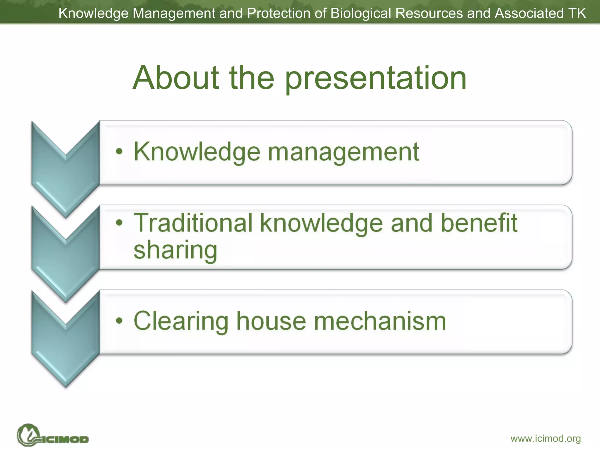 About the presentation 