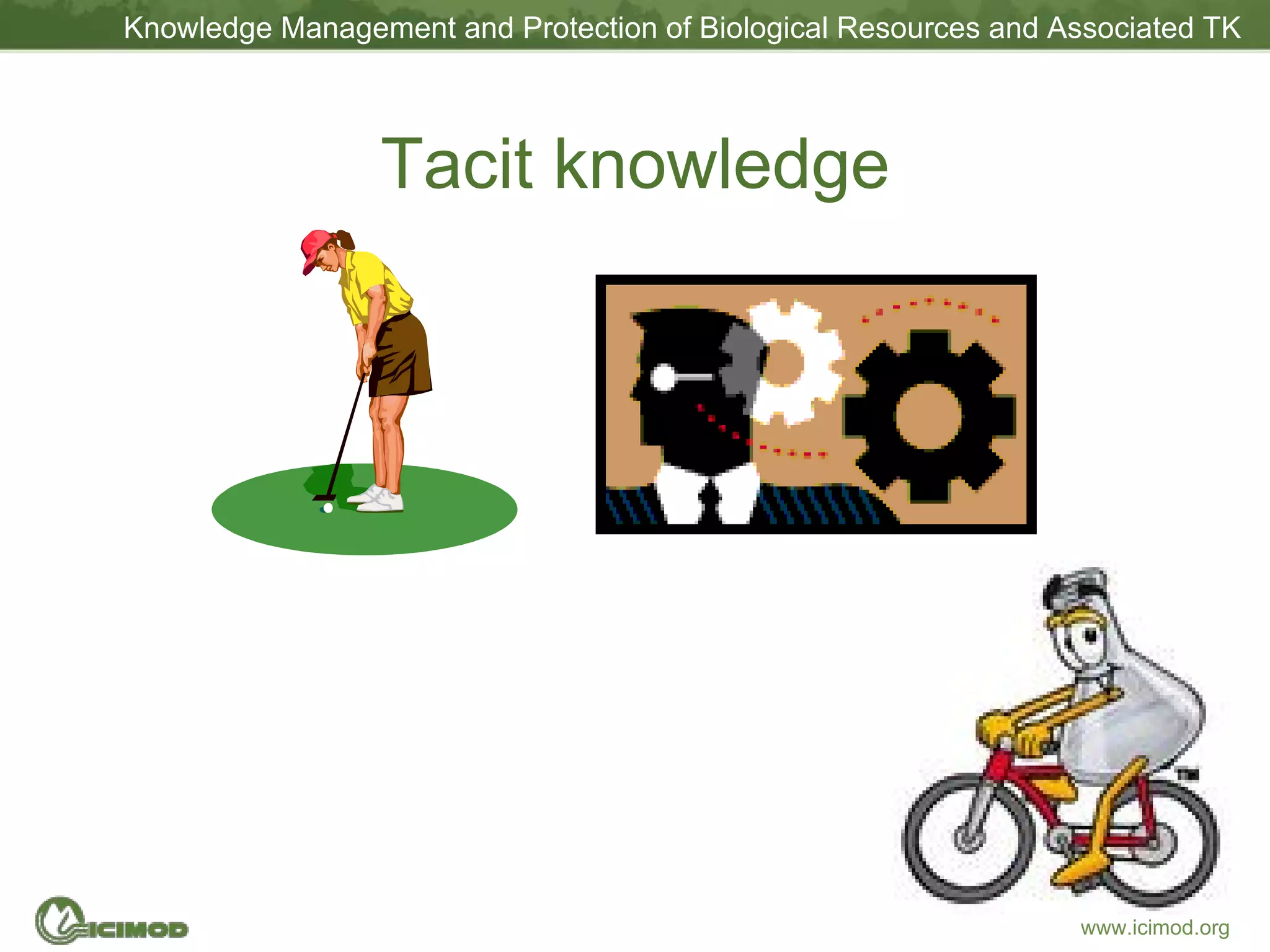 Tacit knowledge 