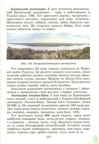 Канівський заповідник. У зоні лісостепу розташ ова­
ний Канівський заповідник - один з найстаріш их в
Україні (мал. 139). Тут зростають дерева, чагарники і
трав’янисті рослини, характерні для зони лісостепу.
М ешкають косулі, кабани, лисиці, зайці, борсуки, тра­
пляються лосі. На островах ж ивуть бобри, біля води
можна побачити видру та норку.
Мал. 139. Панорама Канівського заповідника
Тут охороняють 83 види тварин, занесених до Черво­
ної книги України. Це рідкісні комахи: жук-олень, вусач
великий дубовий, джміль моховий, бджола-тесляр, браж­
ник мертва голова, махаон. Щ ороку на Дніпрі біля запо­
відних островів зимують орлани-білохвости. Трапляються
також лелека чорний, змієїд, сокіл балабан.
Основним завданням заповідника є охорона і збере­
ження у природному стані рослин і тварин лісостепу.
Заповідник Асканія-Нова. У зоні степу на Херсонщині
існує знаний у світі й найстаріший в Україні біосферний
заповідник Асканія-Нова. Площа його становить понад
33 000 га. На території заповідника зростає 482 види рос­
лин, серед яких ковила волосиста, типчак, келерія струн­
ка, півники, люцерна, тюльпани, вика (мал. 140).
Тут налічують понад 800 видів тварин, серед яких
найбільш поширені їжак, заєць-русак, ховрах, полівка,
а з хижаків - лисиця, ласка, тхір. Водяться також косу­
ля та олень благородний асканійський. З-поміж птахів
найбільш відомі жайворонок, просянка, кам’янка, пере­
пілка, куріпка сіра, дрібні соколи, лунь, сови та ін.
 