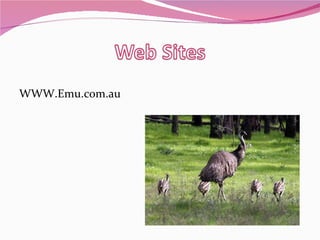 WWW.Emu.com.au 