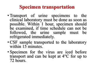 Specimen transportation
• Transport of urine specimens to the
clinical laboratory must be done as soon as
possible. Within 1 hour, specimen should
be examined, if time schedule can not be
followed, the urine sample must be
refrigerated immediately.
• CSF sample transported to the laboratory
within 15 minutes.
• Specimen for the virus are iced before
transport and can be kept at 4°C for up to
72 hours.
 