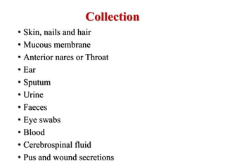 Collection
• Skin, nails and hair
• Mucous membrane
• Anterior nares or Throat
• Ear
• Sputum
• Urine
• Faeces
• Eye swabs
• Blood
• Cerebrospinal fluid
• Pus and wound secretions
 