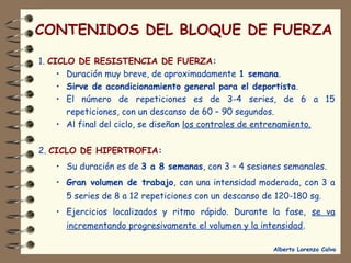 CONTENIDOS DEL BLOQUE DE FUERZA 
Alberto Lorenzo Calvo 
1. CICLO DE RESISTENCIA DE FUERZA: 
• Duración muy breve, de aproximadamente 1 semana. 
• Sirve de acondicionamiento general para el deportista. 
• El número de repeticiones es de 3-4 series, de 6 a 15 
repeticiones, con un descanso de 60 – 90 segundos. 
• Al final del ciclo, se diseñan los controles de entrenamiento. 
2. CICLO DE HIPERTROFIA: 
• Su duración es de 3 a 8 semanas, con 3 – 4 sesiones semanales. 
• Gran volumen de trabajo, con una intensidad moderada, con 3 a 
5 series de 8 a 12 repeticiones con un descanso de 120-180 sg. 
• Ejercicios localizados y ritmo rápido. Durante la fase, se va 
incrementando progresivamente el volumen y la intensidad. 
 