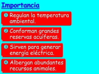 Regulan la temperatura ambiental. 
Conforman grandes reservas acuíferas. 
Sirven para generar energía eléctrica. 
Albergan abundantes recursos animales.  