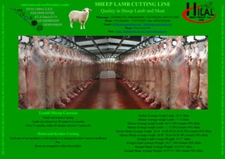 SHEEP LAMB CUTTING LINE
Quality in Sheep Lamb and Meat
HILAL
MEAT
GROUP
Inc.
HILAL
MEAT
GROUP
Inc.
HILAL
MEAT
GROUP
Inc.
HILAL
MEAT
GROUP
Inc.
HILAL
MEAT
GROUP
Inc..
HILAL
MEAT
GROUP
Inc.
HILAL
MEAT
GROUP
Inc.
HILAL
MEAT
GROUP
Inc.
HILAL
MEAT
GROUP
Inc.
HILAL
MEAT
GROUP
Inc..
WhatsApp +34659452159 +380634456495 +77014781354 +995574114950
Phone +77012666846 +77272734973 Fax +903422325046
Email : hilalmeat.kz@yandex.com hilalgroup.ua@gmail.com
Skype: hilalcasing1968
Web : https://hilalmeatkz.wixsite.com/hilalmeatgroup
Merino Average weight Lamb: 10/13 Male
Merino Average weight Lamb: + / 13 Male
Merino Average weight Lamb: 10/13 50% Female 50% Male
Merino Average weight Lamb: + / 13 50% Female 50% Male
Merino Sheep Average weight: 12/16 16/20 20/24 24/30 50% Female 50% Male
Merino Sheep Average weight: 16/20 20/24 24/30 50% Female 50% Male
Karagul Lamb Average Weight: 14/17 Male
Karagul Lamb Average Weight: 14/17 50% Female 50% Male
Karagul Sheep Average Weight: 22/27/35 Male
Karagul Sheep Average Weight: 22/27/35 50% Female 50% Male
Lamb Sheep Carcass
Halal and Kosher Cutting
Lamb and sheep 6 or 10 weeks 6-12 months
Over 12 months, under 24 months and over 2 years old
Halal and Kosher Cutting
Each part of our products is individually in a transparent nylon vacuum cardboard
box.
Some are wrapped in white linen fabric.
HILAL MEAT GROUP Inc. HILAL MEAT GROUP Inc. HILAL MEAT GROUP Inc.
international confirmation code
ES10.1.684/J C.E.E
KZA.05/W-0318/E
EC.X-Deuc.0113
UA10038605247
GE405169035
 