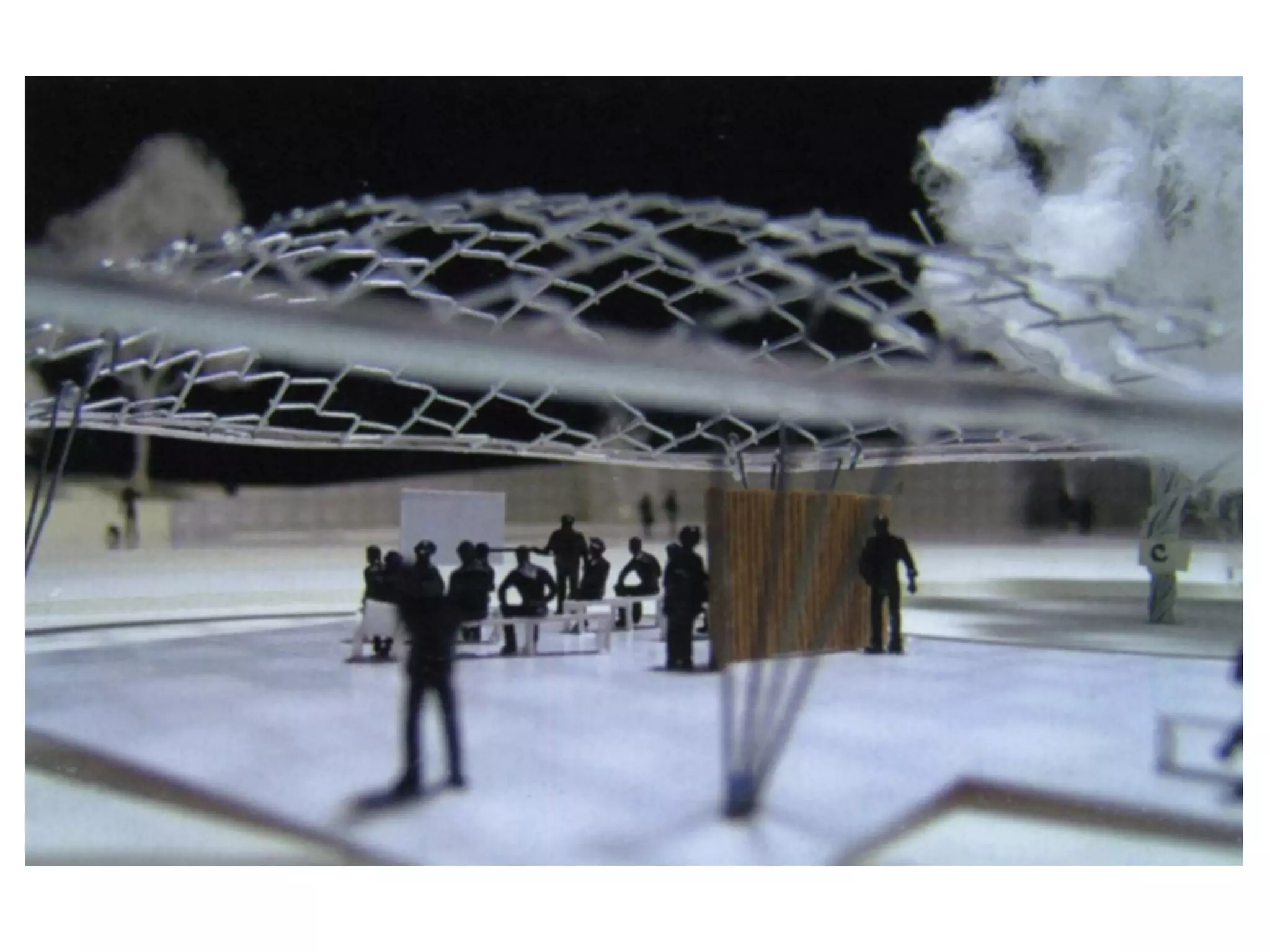 EL_4_Laminares madera_Balmond