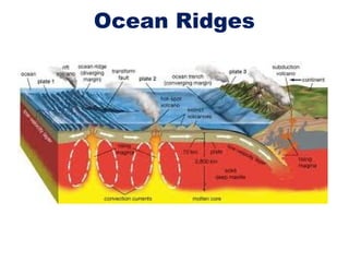 Ocean Ridges
 