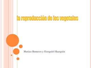 Matías Romero y Ezequiel Razquin

 