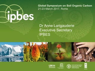 Global Symposium on Soil Organic Carbon
21-23 March 2017, Rome
Dr Anne Larigauderie
Executive Secretary
IPBES
 