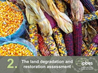 42
2. The land degradation and
restoration assessment
 