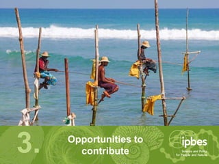 3. Opportunities to
contribute
 