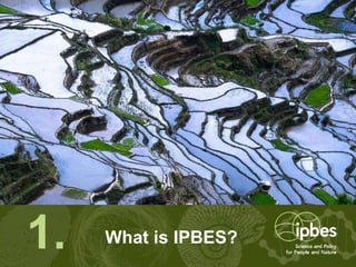 What is IPBES?1.
 