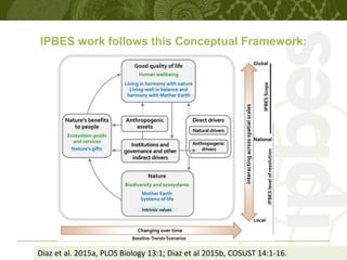 IPBES work follows this Conceptual Framework:
Diaz et al. 2015a, PLOS Biology 13:1; Diaz et al 2015b, COSUST 14:1-16.
 