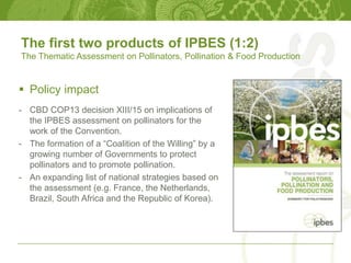 The first two products of IPBES (1:2)
The Thematic Assessment on Pollinators, Pollination & Food Production
 Policy impact
- CBD COP13 decision XIII/15 on implications of
the IPBES assessment on pollinators for the
work of the Convention.
- The formation of a “Coalition of the Willing” by a
growing number of Governments to protect
pollinators and to promote pollination.
- An expanding list of national strategies based on
the assessment (e.g. France, the Netherlands,
Brazil, South Africa and the Republic of Korea).
 