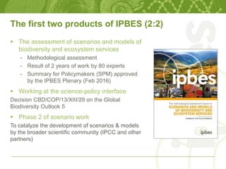 The first two products of IPBES (2:2)
 The assessment of scenarios and models of
biodiversity and ecosystem services
- Methodological assessment
- Result of 2 years of work by 80 experts
- Summary for Policymakers (SPM) approved
by the IPBES Plenary (Feb 2016)
 Working at the science-policy interface
Decision CBD/COP/13/XIII/29 on the Global
Biodiversity Outlook 5
 Phase 2 of scenario work
To catalyze the development of scenarios & models
by the broader scientific community (IPCC and other
partners)
 