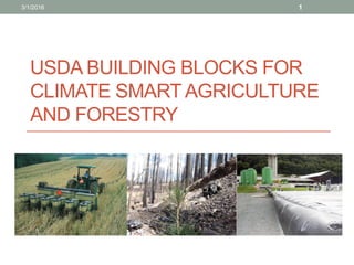 USDA BUILDING BLOCKS FOR
CLIMATE SMART AGRICULTURE
AND FORESTRY
3/1/2016 1
 