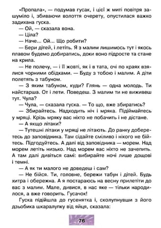 «Пропала», — подумав гусак, і цієї ж миті повітря за­
шуміло і, збиваючи волоття очерету, опустилася важко
задихана гуска.
— Ой, — сказала вона.
— Ціла?
— Наче... Ой... Що робити?
— Бери дітей, і летіть. Я з малим лишимось тут і якось
плавом будемо добиратись, доки воно підросте та стане
на крила.
— Не полечу, — і її жовті, як і в тата, очі по краях взя­
лися чорними обідками. — Буду з тобою і малим. А діти
полетять з табуном.
— З яким табуном, куди? Глянь — одна молодь. Ти
найстарша. От і лети. Поведеш. З малим ти не виживеш
тут. Чула?
— Чула, — сказала гуска. — То що, вже збиратись?
— Збирайтесь. Надходить ніч і мряка. Підіймайтесь
у мряці. Крізь мряку вас ніхто не побачить і не дістане.
— А якщо літаки?
— Тутешні літаки у мряці не літають. До ранку добере­
тесь до заповідника. Там сідайте сміливо і нікого не бій­
тесь. Підгодуйтесь. А далі від заповідника — морем. Над
морем летіть низько. Над морем вас ніхто не зачепить.
А там далі дивіться самі: вибирайте ночі лише дощові
і темні.
— А як ти малого не доведеш і сам?
— Не бійся. Ти, головне, бережи табун і дітей. Будь
хитра і обережна. А я постараюсь на весну прилетіти до
вас з малим. Мале, дивися, в нас яке — тільки народи­
лося, а вже говорить. Гусачок!
Гуска підійшла до гусенятка і, сколупнувши з його
дзьобика шкаралупку від яйця, сказала:
І 76
 