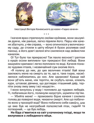 Ілюстрації Віктора Каневського до казки «Гидке каченя»
* * *
І каченя враз стрепенуло своїми крилами, вони зашумі-
ли дужче, ніж раніше, легко підняли його. Перш ніж каче-
ня збагнуло, у чім справа, — воно опинилося у величезно-
му саду, де стояли в цвіту яблуні й бузок розливав свої
пахощі, а його довгі зелені віти схилялися над звивистим
каналом.
О! Тут було так прекрасно! Так пахло весною! І раптом
з кущів осоки випливли три прекрасні білі лебеді. Вони
зашуміли крилами і легко попливли по воді. Каченя пізна-
ло чудових птахів, і незвичайний сум охопив його.
«Я полечу до них, до цих величних птахів! Хай вони
заклюють мене на смерть за те, що я, таке гидке, насмі-
лилося наблизитись до них. Але однаково! Краще хай
вони уб'ють мене, ніж терпіти, як скубуть качки, клюють
кури, штовхає дівчина, що доглядає пташиний двір, тер-
піти знову лиху зиму і всі нещастя».
І воно кинулось у воду і попливло до чудових лебедів.
Ті, побачивши його, полинули назустріч, шумлячи пір'ям.
— Убийте мене! — промовило бідне каченя і схилило
голову до поверхні води, чекаючи смерті. Але що побачи-
ло воно у прозорій воді? Воно побачило себе самого, але
це вже був не незграбний попелястий птах, гидкий та
потворний, — це був лебідь.
Не біда з'явитися на світ у качиному гнізді, якщо ти
вилупився з лебединого яйця.
 
