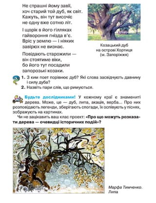 Не страшні йому зави,
хоч старий той дуб, як СЕ
Кажуть, він тут височіє
не одну вже сотню літ.
І щорік в його гілляках
гайвороння гнізда в'є.
Вріс у землю — і ніяких
завірюх не визнає.
Повідають старожили —
він стоятиме віки,
бо його тут посадили
запорозькі козаки.
1. З ким поет порівнює дуб? Які слова засвідчують давнину
і силу дуба?
2. Назвіть пари слів, що римуються.
Будьте дослідниками! У кожному краї є знамениті
дерева. Може, це — дуб, липа, акація, верба... Про них
розповідають легенди, зберігають спогади, їх оспівують у піснях,
зображують на картинах.
Чи не зацікавить ваш клас проект: «Про що можуть розказа-
ти дерева — очевидці історичних подій»?
Козацький дуб
на острові Хортиця
(м. Запоріжжя)
Марфа Тимченко.
Липа
 