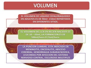 4 lcr diapositivas | PDF