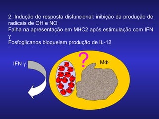 2. Indução de resposta disfuncional: inibição da produção de
radicais de OH e NO
Falha na apresentação em MHC2 após estimulação com IFN
γ
Fosfoglicanos bloqueiam produção de IL-12

IFN γ

?

MΦ

 