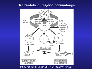 No modelo L. major e camundongo

Br Med Bull. 2006 Jul 17;75-76:115-30

 