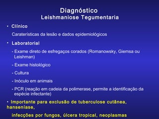 Diagnóstico

Leishmaniose Tegumentaria
• Clínico
Caraterísticas da lesão e dados epidemiológicos
• Laboratorial
- Exame direto de esfregaços corados (Romanowsky, Giemsa ou
Leishman)
- Exame histológico
- Cultura
- Inóculo em animais
- PCR (reação em cadeia da polimerase, permite a identificação da
espécie infectante)
• Importante para exclusão de tuberculose cutânea,
hanseníase,
infecções por fungos, úlcera tropical, neoplasmas

 