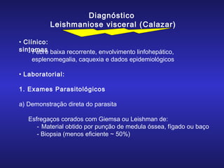 Diagnóstico
Leishmaniose visceral ( Calazar)
• Clínico:
sintomas baixa recorrente, envolvimento linfohepático,
- Febre

esplenomegalia, caquexia e dados epidemiológicos

• Laboratorial:
1. Exames Parasitológicos
a) Demonstração direta do parasita
Esfregaços corados com Giemsa ou Leishman de:
- Material obtido por punção de medula óssea, fígado ou baço
- Biopsia (menos eficiente ~ 50%)

 