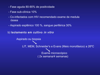 - Fase aguda 80-90% de positividade
- Fase sub-clínica 10%
- Co-infectados com HIV recomendado exame de medula
óssea
- Aspirado esplênico 100 %, sangue periférica 30%
b) Isolamento em cultivo in vitro
Aspirado ou biopsia
LIT, MEM, Schneider’s e Evans (Meio monofásico) a 26ºC
Exame microscópico
( 2x semana/4 semanas)

 