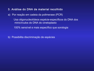 3. Análise do DNA de material recolhido
a) Por reação em cadeia da polimerase (PCR)
Usa oligonucleotídeos espécie-específicos do DNA dos
minicírculos do DNA do cinetoplasto
100% sensível e mais específico que sorologia
b) Possibilita discriminação de espécies

 