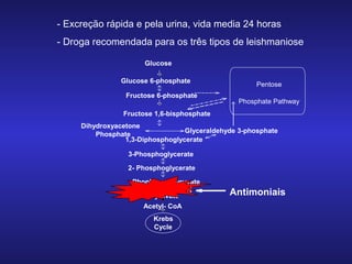 - Excreção rápida e pela urina, vida media 24 horas
- Droga recomendada para os três tipos de leishmaniose
Glucose
Glucose 6-phosphate
Fructose 6-phosphate

Pentose
Phosphate Pathway

Fructose 1,6-bisphosphate
Dihydroxyacetone
Glyceraldehyde 3-phosphate
Phosphate
1,3-Diphosphoglycerate
3-Phosphoglycerate
2- Phosphoglycerate
Phophoenolpyruvate
*
PK
Pyruvate
Acetyl- CoA
Krebs
Cycle

Antimoniais

 