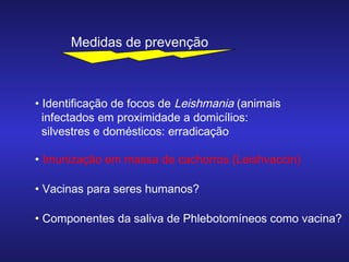 Medidas de prevenção

• Identificação de focos de Leishmania (animais
infectados em proximidade a domicílios:
silvestres e domésticos: erradicação
• Imunização em massa de cachorros (Leishvaccin)
• Vacinas para seres humanos?
• Componentes da saliva de Phlebotomíneos como vacina?

 