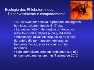 Ecologia dos Phlebotomíneos:
Desenvolvimento e comportamento
• 40-70 ovos por desova, agrupados em lugares
humidos, eclodem depois 6-17 dias
• Larvas se nutrem de matéria orgânica por
mais 15-70 dias, depois pupa (7-14 dias)
• Adultos são ativos no crepúsculo ou a noite,
durante o dia permanecem em lugares
tranquilos: tocas, arvores ocas, currais,
moradias
• Não sobrevivem bem em ambientes que não
tenham pelo menos um mes T acima de 20°C

 