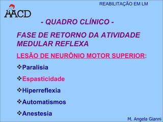 - QUADRO CLÍNICO - FASE DE RETORNO DA ATIVIDADE MEDULAR REFLEXA LESÃO DE NEURÔNIO MOTOR SUPERIOR : Paralisia Espasticidade Hiperreflexia Automatismos Anestesia 